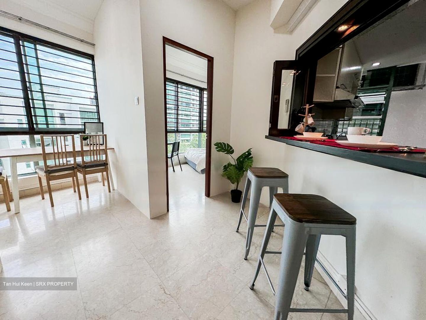 Astor Green (D21), Condominium #484119321